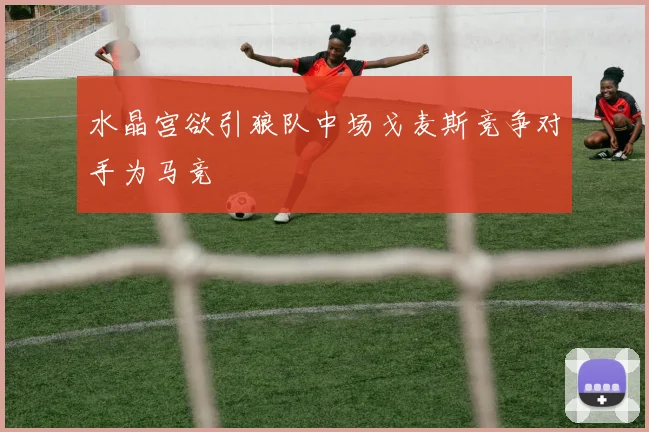 水晶宫欲引狼队中场戈麦斯竞争对手为马竞