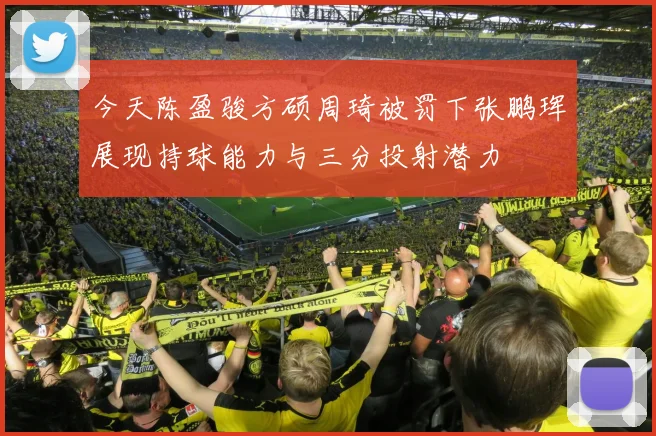 今天陈盈骏方硕周琦被罚下张鹏珲展现持球能力与三分投射潜力